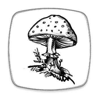 Champignon - Illustration - Magnet carré - blanc - Devant