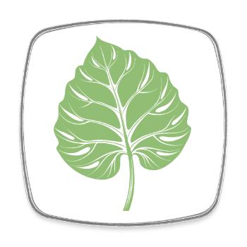 Taro Leaf - Square fridge magnet - white - Front