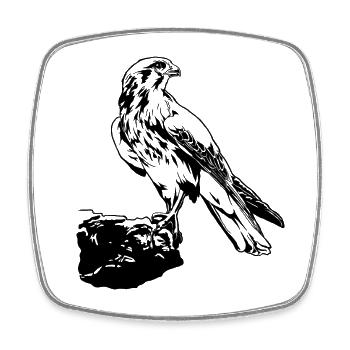 Falke Vogel sitzt auf Baum Cool Vogel Liebhaber Geschenk - Viereckiger Kühlschrankmagnet - Weiß - Vorne