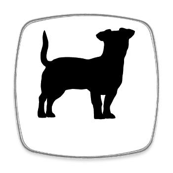 Jack Russell Terrier - Magnet carré - blanc - Devant