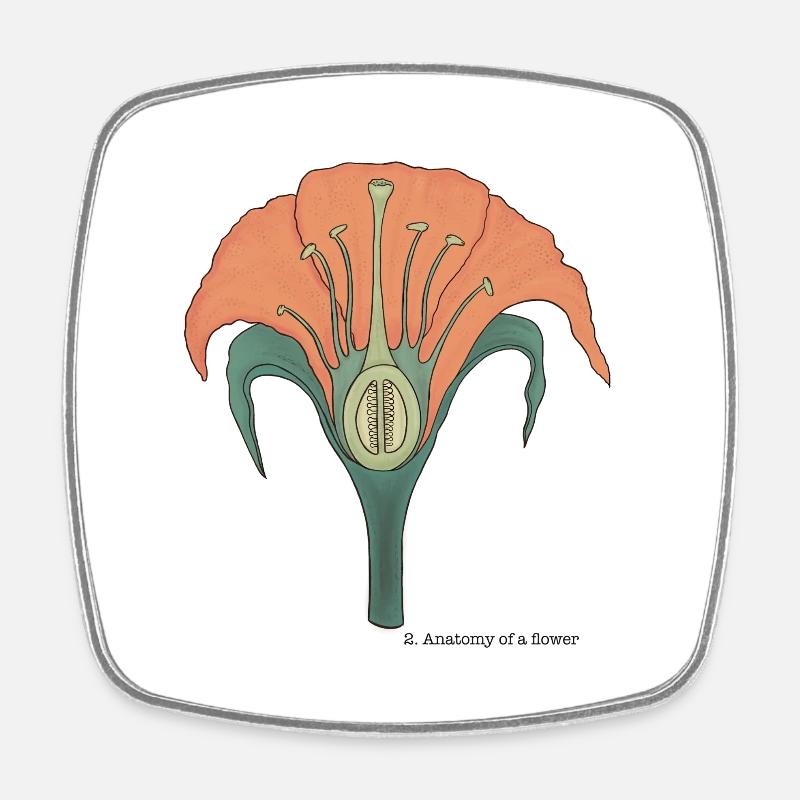 L'anatomie de la fleur - Magnet carré - blanc