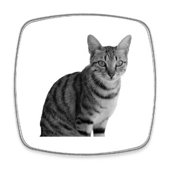 niedliche Katze T-shirt Geschenkidee Weihnachten - Viereckiger Kühlschrankmagnet - Weiß - Vorne