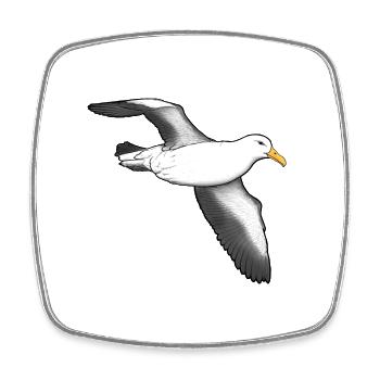 Albatross flying - Square fridge magnet - white - Front