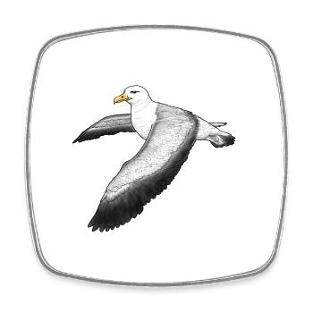 Albatross flying - Square fridge magnet - white - Front