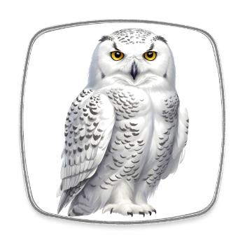 Snowy Owl - Square fridge magnet - white - Front