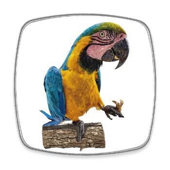 The blue and yellow macaw - Square fridge magnet - white - Front