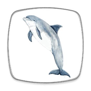 Bottlenose dolphin - Bottlenose dolphin - Grand dauphin - Square fridge magnet - white - Front