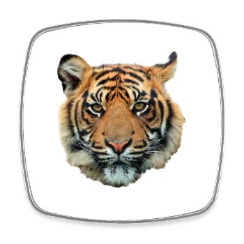 Tigerkopf Nahaufnahme - Viereckiger Kühlschrankmagnet - Weiß - Vorne