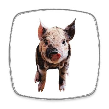 niedliche Tieroutfits, geflecktes Ferkel, Tierbaby - Viereckiger Kühlschrankmagnet - Weiß - Vorne