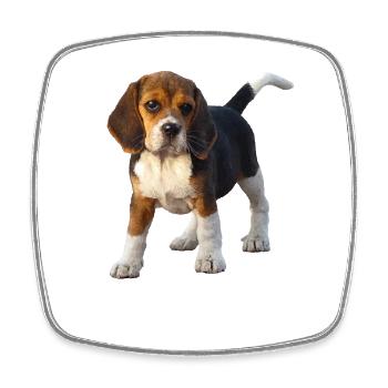 beagle - Square fridge magnet - white - Front