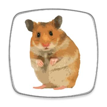 Hamster - Magnet carré - blanc - Devant