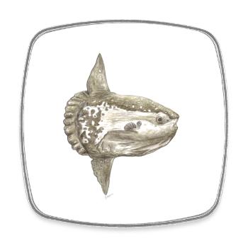 Mola mola poisson-lune pour les pêcheurs, les plongeurs - Magnet carré - blanc - Devant