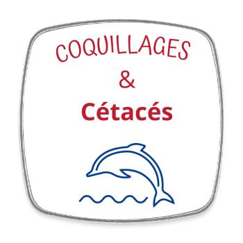 Coquillages et cétacés - Magnet carré - blanc - Devant
