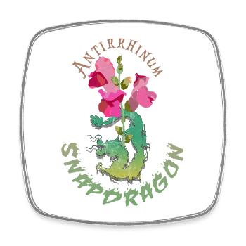 Drachenblumen - Viereckiger Kühlschrankmagnet - Weiß - Vorne