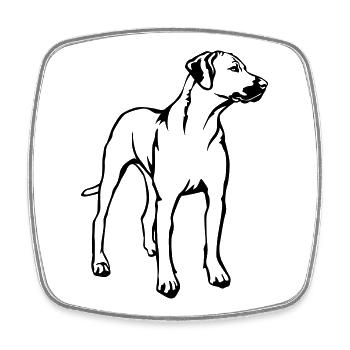Rhodesian Ridgeback - Magnet carré - blanc - Devant
