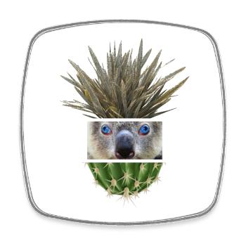 Koala Azure Cactus Collage - Viereckiger Kühlschrankmagnet - Weiß - Vorne