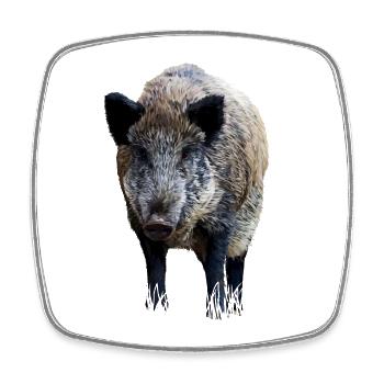 Wild boar - Square fridge magnet - white - Front