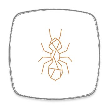 Ant | Animal | Logo - Square fridge magnet - white - Front
