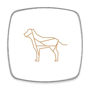 Chien | Animaux | Logo de l’entreprise | Animal domestique - Magnet carré - blanc - Devant