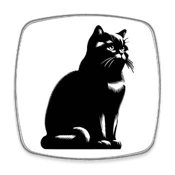 Chat British Shorthair - Magnet carré - blanc - Devant