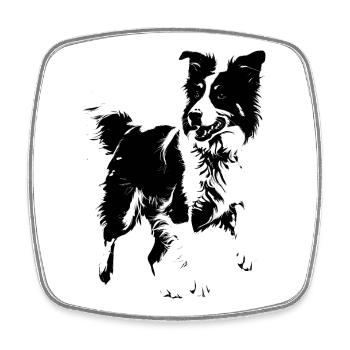 Hund der Rasse Border Collie - Viereckiger Kühlschrankmagnet - Weiß - Vorne