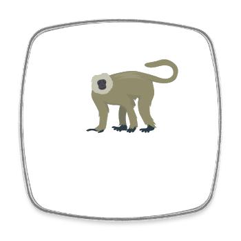 Eleganter Langur - Viereckiger Kühlschrankmagnet - Weiß - Vorne