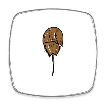 Ancient Horseshoe Crab - Square fridge magnet - white - Front
