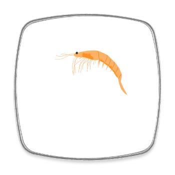 Fundamental Oceanic Krill - Square fridge magnet - white - Front