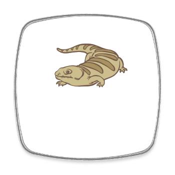 Faszinierender und Einzigartiger Skink - Viereckiger Kühlschrankmagnet - Weiß - Vorne