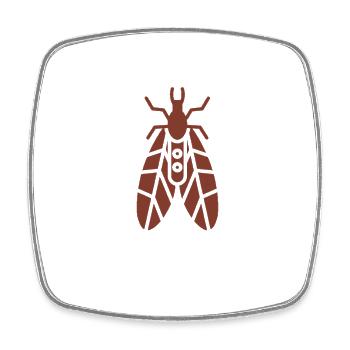 Fragile caddisfly - Square fridge magnet - white - Front