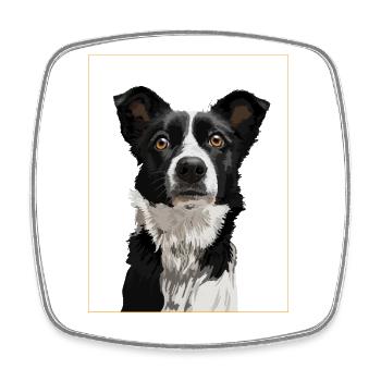 Border Collie - Portrait II - Viereckiger Kühlschrankmagnet - Weiß - Vorne