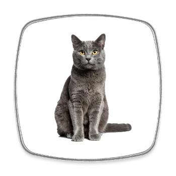 Grey Cat – Gentle, stylish & to fall in love with! - Square fridge magnet - white - Front