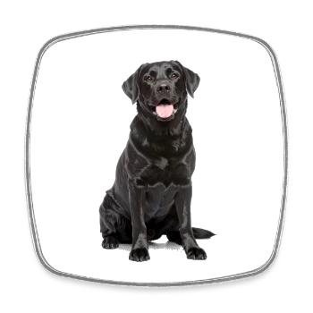 Schwarzer Labrador – Loyal, liebenswert & Charmant - Viereckiger Kühlschrankmagnet - Weiß - Vorne
