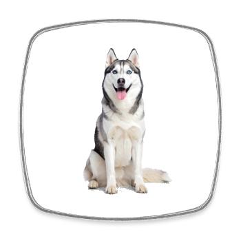Husky mit blauen Augen – Magisch & wild - Viereckiger Kühlschrankmagnet - Weiß - Vorne