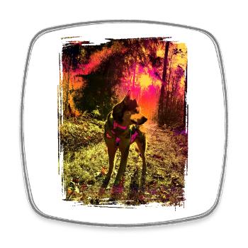 Husky in the mystical sunset - Square fridge magnet - white - Front
