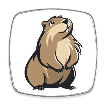 Cute Groundhog - Square fridge magnet - white - Front