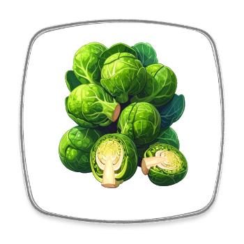 Brussels sprouts - Square fridge magnet - white - Front