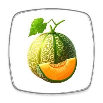 Honigmelone - Viereckiger Kühlschrankmagnet - Weiß - Vorne