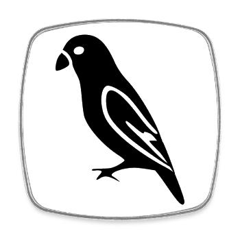 Cadeau de l’oiseau noir amoureux de la nature - Magnet carré - blanc - Devant