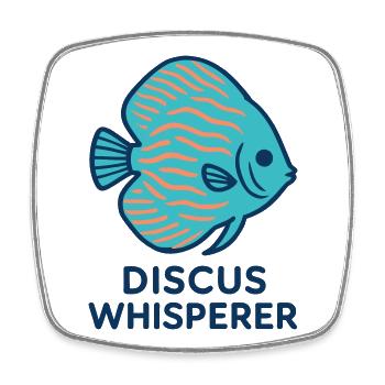 Leidenschaftlich für Blau- und Orange-Diskusfische - Viereckiger Kühlschrankmagnet - Weiß - Vorne