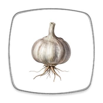 Gousse d ail vintage - Magnet carré - blanc - Devant