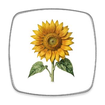 Sonnenblumen-Botanische Gravur - Viereckiger Kühlschrankmagnet - Weiß - Vorne