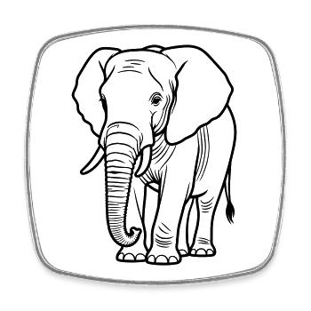 éléphant - Magnet carré - blanc - Devant