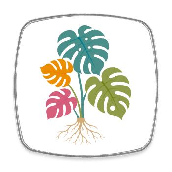Feuilles de monstera colorées aux racines tropicales - Magnet carré - blanc - Devant