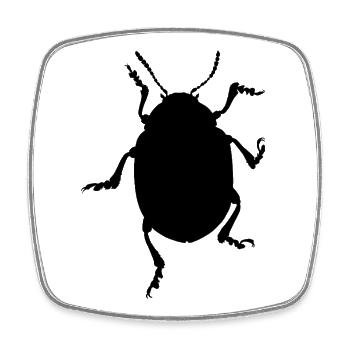 Kartoffelkaefer - Square fridge magnet - white - Front