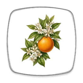 Botanische Illustration von Orangen im Vintage-Stil - Viereckiger Kühlschrankmagnet - Weiß - Vorne