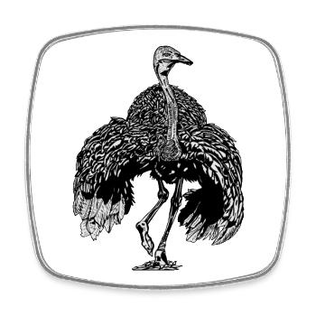 Ostrich - Square fridge magnet - white - Front