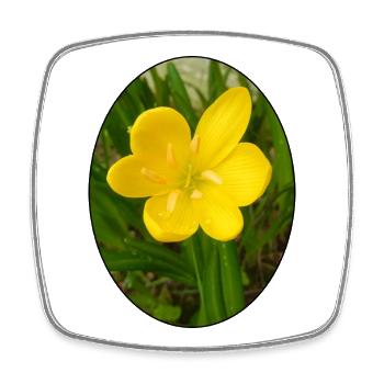 Gelbe Blüte im Vordergrund - Viereckiger Kühlschrankmagnet - Weiß - Vorne