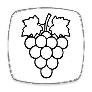 Cadeau de vin de raisins verts - Magnet carré - blanc - Devant