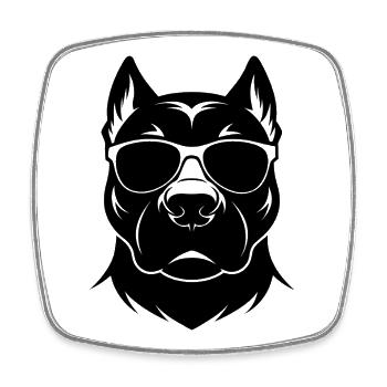 Lunettes de soleil Pitbull - Magnet carré - blanc - Devant